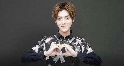 鹿晗找爆料者和解视频,视频揭露背后真相  第3张